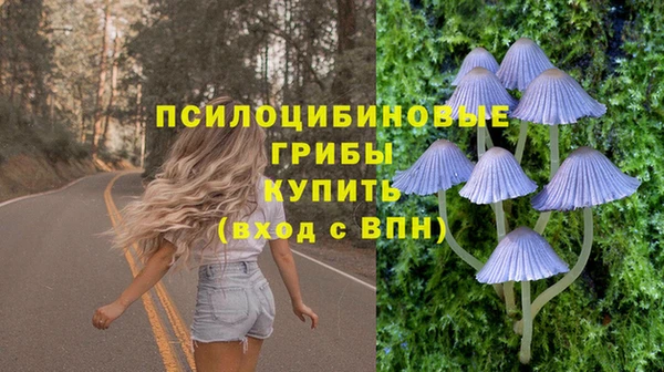 гашишное масло Гусев