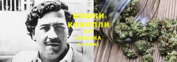 прущая мука Гусиноозёрск