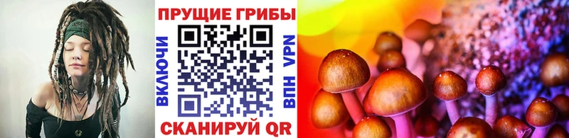 Псилоцибиновые грибы Magic Shrooms  Купить закладки  Кропоткин 